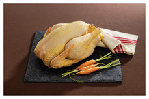 Poulet jaune fermier de Licques VF Label rouge IGP