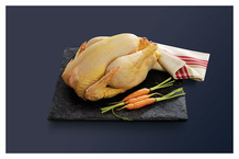 Poulet jaune fermier Label Rouge