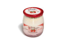 Yaourt sur lit de fraise HVE Yaourt sur lit de fraise HVE