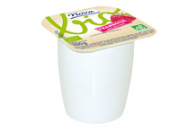 Yaourt brassé aux fruits mixés BIO