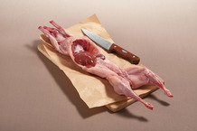 Lapin avec tête