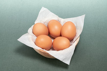 Oeuf moyen alvéolé Bio