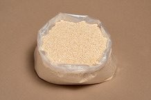 Graine de sésame blanc