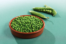 Petit pois extra-fin CE2