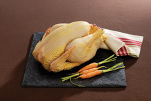 Poulet jaune