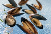 Moule crue