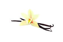 Glace vanille bourbon de Madagascar