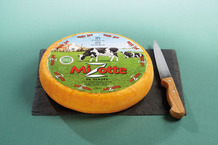 Mizotte de Vendée