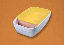 Mousse de canard